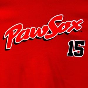 Dustin Pedroia - Pawtucket Paw Sox Jersey / Shirt (XL)